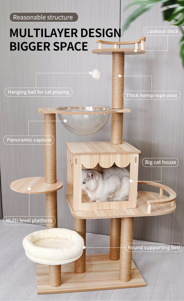 Multilayer design cat climbing tree
